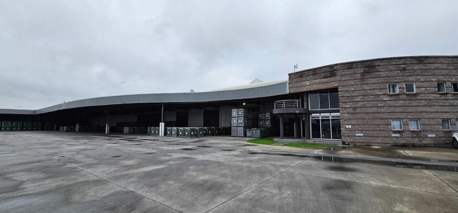 To Let commercial Property for Rent in Parow Industrial Western Cape